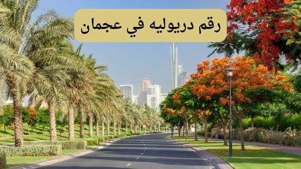 رقم دريوليه في عجمان